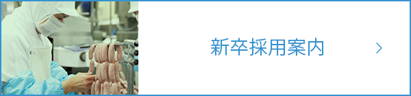 新卒採用案内